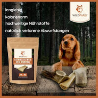 Produktbild von Wildfang Halbe Kaustange aus Rothirsch-Geweih Monoprotein Naturkauartikel für große Hunde 160g