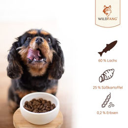 Wildfang Hundefutter Junior Lachs Getreidefrei Glutenfrei 4 kg - 2 x 2 kg – Bild 1 von 8