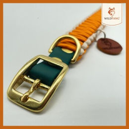 Produktbild von Wildfang Hundehalsband Waldgeflüster aus Biothane und Paracord creme türkis Größe M wasserfest