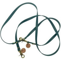 Produktbild von Wildfang Hundeleine Waldgeflüster aus Biothane und Leder in Türkis 2,3 m x 1,6 cm