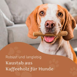 Wildfang Kaffeeholz Kauspielzeug für Hunde aus Naturholz zur Zahnpflege Größe M 3er-Pack - 3 x 1 Stk. – Bild 1 von 8