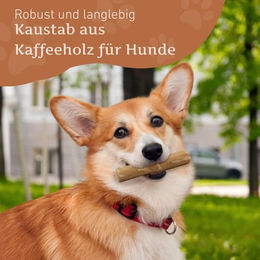 Wildfang Kaffeeholz Kauspielzeug für Hunde und Welpen zur Zahnpflege Größe S – Bild 1 von 11