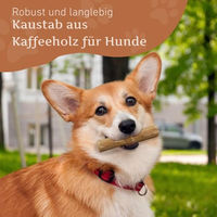 Produktbild von Wildfang Kaffeeholz Kauspielzeug für Hunde und Welpen zur Zahnpflege Größe S