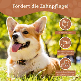 Wildfang Kaffeeholz Kauspielzeug für Hunde XS Zahnpflege Natur Sticks für Welpen - 1 Stk. – Bild 1 von 10
