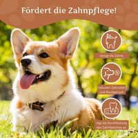 Produktbild von Wildfang Kaffeeholz Kauspielzeug für Hunde XS Zahnpflege Natur Sticks für Welpen - 1 Stk.