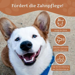 Wildfang Kaffeeholz Kauspielzeug für Hunde Zahnpflege Naturkauartikel Sticks 30 Stück - 3 x 30 g – Bild 1 von 10