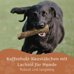 Wildfang Kaffeeholz Kauspielzeug mit Lachsöl für Hunde, Zahnpflege Sticks für Welpen und große Rassen, Größe L, 250g - 3 l – Bild 1 von 8