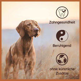 WILDFANG Kauwurzel aus Baumheide Naturkauartikel für Hunde 3 L – Bild 1 von 5