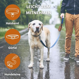 Wildfang Kotbeutelspender aus Leder in Braun mit Doppelfach für Hundeaccessoires – Bild 1 von 7