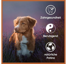 Wildfang Lederknochen aus Rind Mini Kauknochen für Hunde aller Altersstufen – Bild 1 von 11