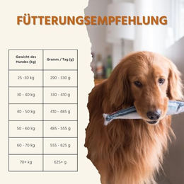 Wildfang Maxi Adult Trockenfutter für große Hunde mit Lachs und Forelle getreidefrei 2kg - 2 kg – Bild 1 von 6