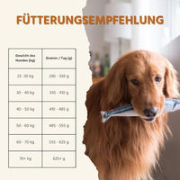 Produktbild von Wildfang Maxi Adult Trockenfutter für große Hunde mit Lachs und Forelle getreidefrei 2kg - 2 kg