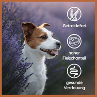 Produktbild von Wildfang Nassfutter Lamm pur BARF für erwachsene Hunde getreidefrei und hypoallergen 400 g - 400 g