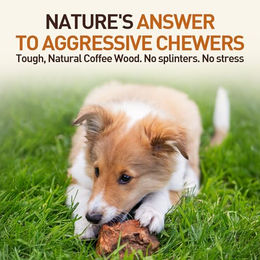 Wildfang Naturkauartikel Kauwurzel aus Baumheide Vegan für große Hunde und alle Altersstufen 300g - 1 l – Bild 1 von 9