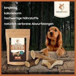 Wildfang Naturkauartikel Rothirsch Geweih mit Lachsöl für Hunde – Bild 1 von 5