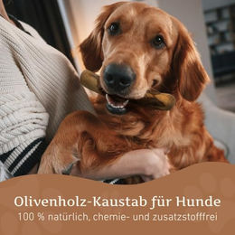 Wildfang Olivenholz Kauspielzeug für Hunde Größe L – Bild 1 von 11