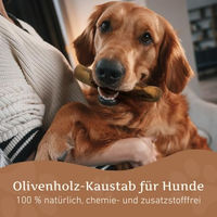 Produktbild von Wildfang Olivenholz Kauspielzeug für Hunde Größe L
