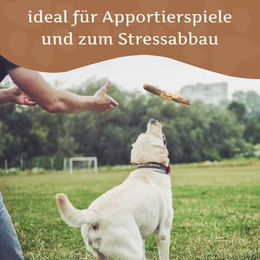 Wildfang Olivenholz Kauspielzeug für Hunde Größe M 3er Pack - 1 Stk. – Bild 1 von 12