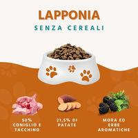 Produktbild von Wildfang Trockenfutter für Hunde Adult Kaninchen und Truthahn getreidefrei 12kg - 2 x 6 kg