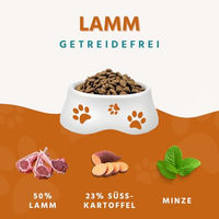 Produktbild von Wildfang Trockenfutter für Hunde Adult mit Lamm getreidefrei 6kg - 6 kg