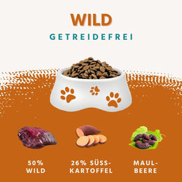 Wildfang Trockenfutter für Hunde Adult Wild und Lachs Getreidefrei 12kg - 12 kg – Bild 1 von 9