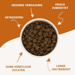 Wildfang Trockenfutter für Senior Hunde mit Truthahn 6kg – Bild 1 von 6