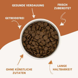 Wildfang Trockenfutter für Welpen mit Lachs Getreidefrei und Sensitive 2kg – Bild 1 von 7