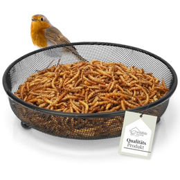 WILDLIFE HOME Bodenfutterstation aus Metall für Vögel und Igel in Schwarz Ø18cm – Bild 1 von 13