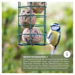 wildtier liebe Meisenknödelhalter Futtersäule aus Metall Grün 52cm – Bild 1 von 7