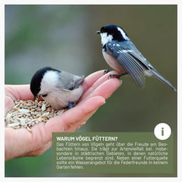 wildtier liebe Vogelfutterspender Erdnussfutterspender aus Metall Grün 23,5cm – Bild 1 von 6