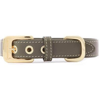 Produktbild von William Walker Hundehalsband aus Glattleder Forest in Größe M (38-45 cm)