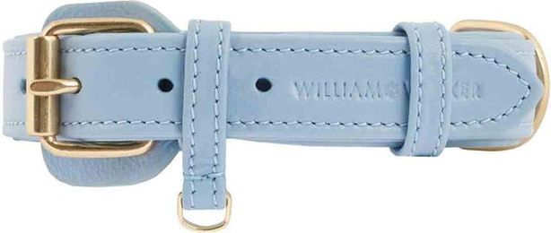 William Walker Hundehalsband aus Leder in Blau Grösse M – Bild 1 von 5