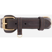 Produktbild von William Walker Leder-Hundehalsband Earth Braun Größe S