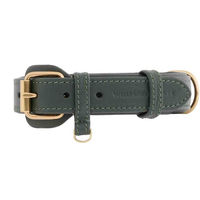 Produktbild von William Walker Leder-Hundehalsband Grün XXL