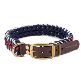 Produktbild von William Walker Paracord Hundehalsband Royal S Bunt 36cm-41cm