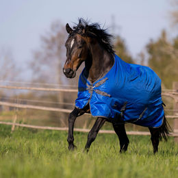 WINDCHILL 100 Outdoordecke Paddock- und Regendecke für Pferde Grau Navy – Bild 1 von 1