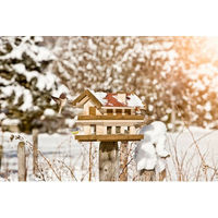 Produktbild von Windhager Vogelfuttersilo Landhaus XL aus Holz in Braun