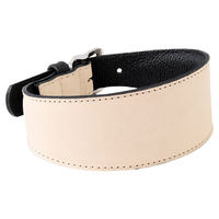 Produktbild von Windhundhalsband Das Lederband Vancouver aus Leder Natural/Black 52 cm x 35 mm