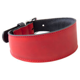 Produktbild von Windhundhalsband Das Lederband Vancouver Rot/Schwarz aus Leder 62 cm x 50 mm