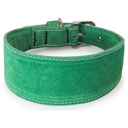 Produktbild von Windhundhalsband Toronto Leaf Green aus Leder wasserdicht 50 cm