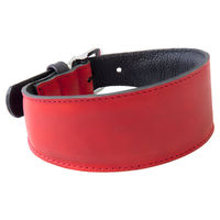 Produktbild von Windhundhalsband Vancouver aus Leder Rot/Schwarz Länge 57 cm Breite 45 mm