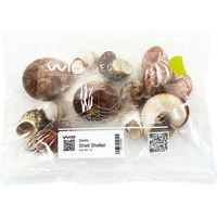 Produktbild von WIO Shell Shelter Mix Bunter Steinsplitter 2 l