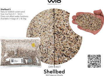 WIO Shellbed Mix2 Bunter Bodengrund – Bild 1 von 3