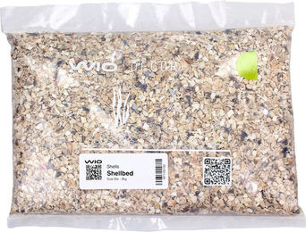 WIO Shellbed S2 Bunter Bodengrund – Bild 1 von 2
