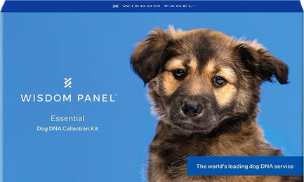 Produktbild von Wisdom Panel Essential DNA-Test für Hunde 1 Stück