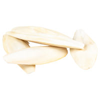 Produktbild von Witte Molen Sepiaschale für Wildvögel zur Unterstützung von Gelenken und Knochen 5 kg - 5 kg