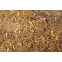 Produktbild von Witte Molen Universal Weichfutter für Vögel mit Insekten und Schalentieren 10 kg Sack - 10 kg