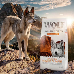 Produktbild von Wolf of Wilderness Explore The Mighty Summit Performance Hundefutter Huhn getreidefrei 400 g