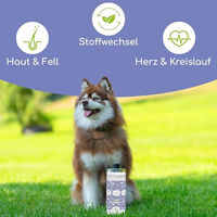 Produktbild von Wolfsbacher Natur Bio Leinöl zur Nahrungsergänzung für Hunde und Katzen 1 l - 1 l