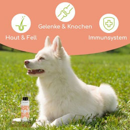 Wolfsbacher Natur Lachsöl für Hunde und Katzen zur Unterstützung von Haut und Fell 250 ml - 250 ml – Bild 1 von 2